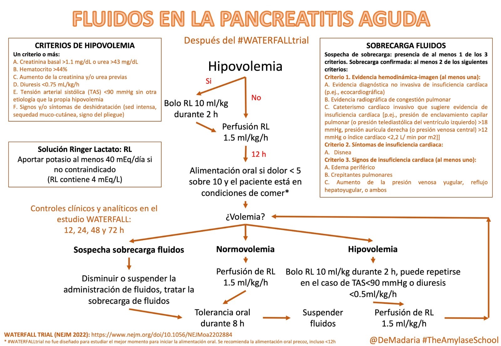 Algoritmo de fluidoterapia en pancreatitis aguda (base WATERFALL)